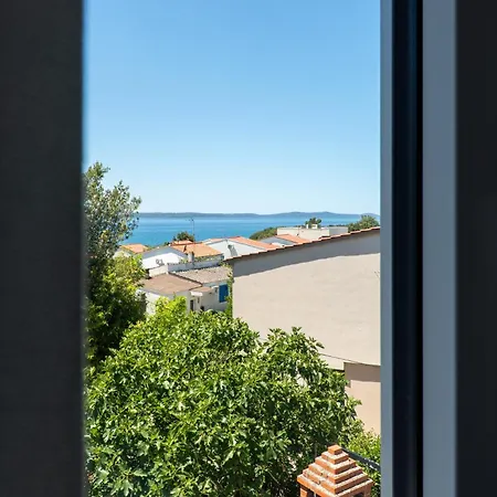 Galeb