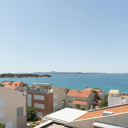 Galeb *